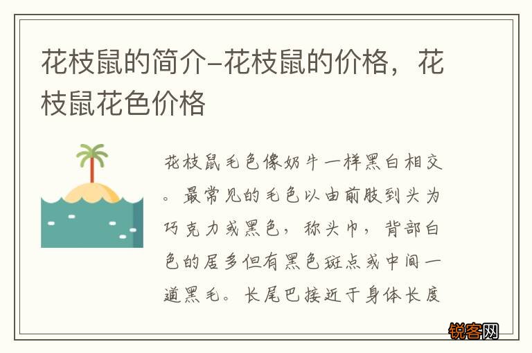 花枝鼠的简介-花枝鼠的价格，花枝鼠花色价格