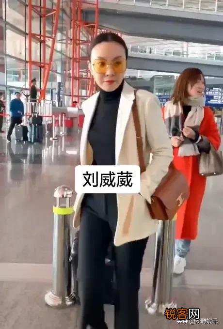 张嘉译前妻央视才女刘威葳,恋过孙红雷,如今现状怎么样？