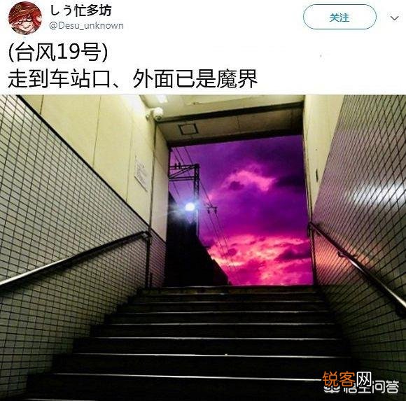 网络对这次台风“海贝思”有什么恶搞呢？