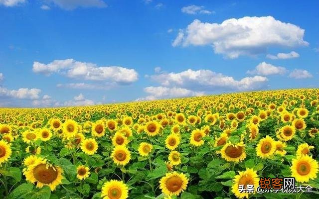 有哪些在低谷时期给你鼓励的句子?