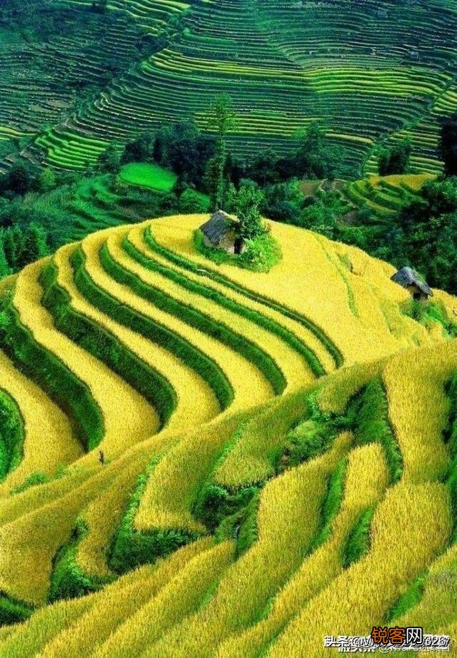 用一句话说说夏天的七八月份有多热？