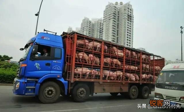 100头内 现在想投资建个小规模养猪场,该怎样入手,国家有何优惠政策？