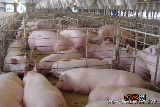 现在想要投资建一个小规模的养猪场,国家有什么优惠政策吗？