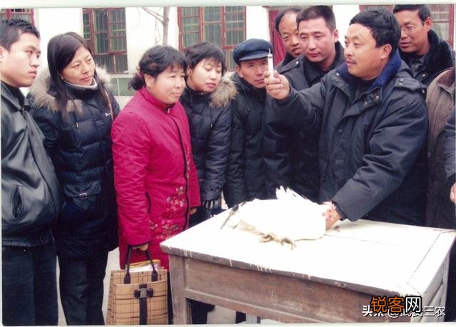 建一个年出一万头猪的养殖场需要投资多少钱？