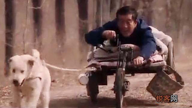 动物题材类电影,你认为最为经典的是哪一部？