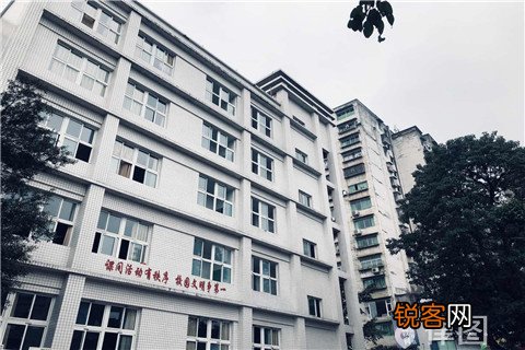 怎么样才构成非法携带毒品原植物种子罪