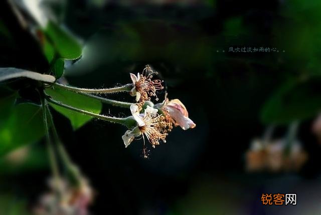 女性在受到身体侵犯时,应该奋力反抗吗？