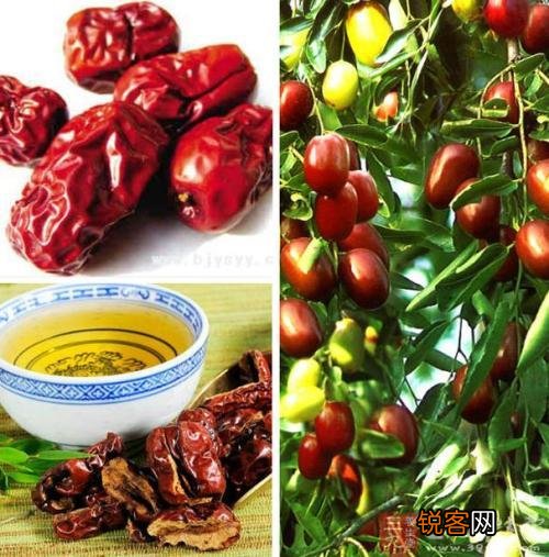 益智的食物有哪些？你吃了吗？
