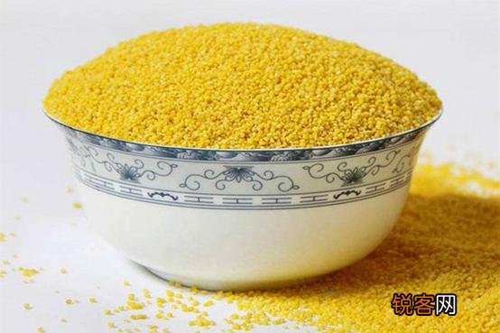 益智的食物有哪些？你吃了吗？