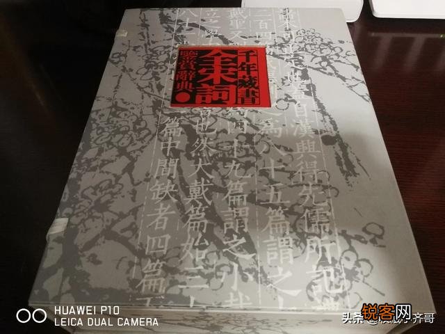 从古到今把文字语言应用到极致的文章有哪些？