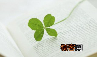 踵事增华笃行致远的意思 致知力行踵事增华是什么意思