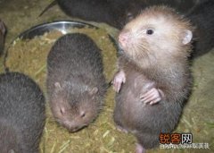 有哪些你自以为很便宜,实际上很贵的东西？