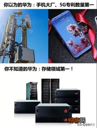 请比较一下台积电的张忠谋和华为的任正非？