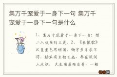 集万千宠爱于一身下一句 集万千宠爱于一身下一句是什么