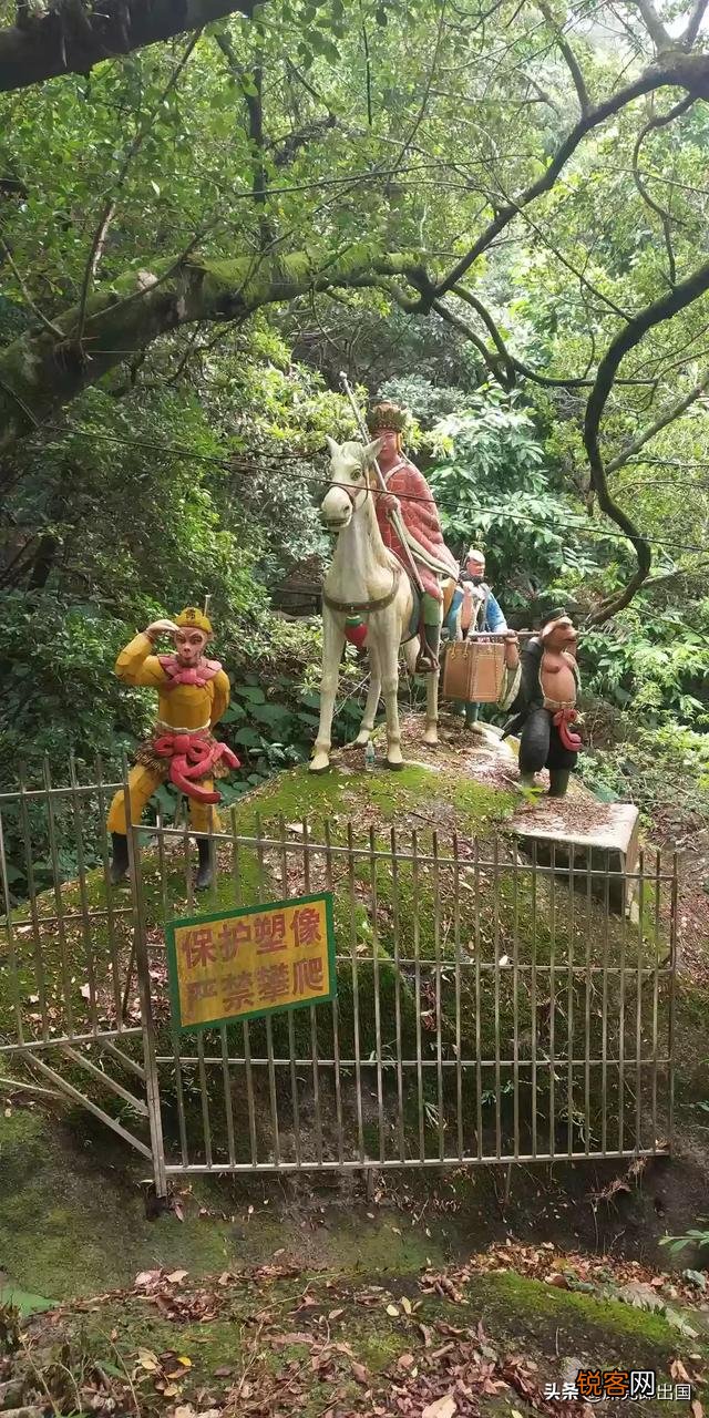 我的世界怎样驯服狼？