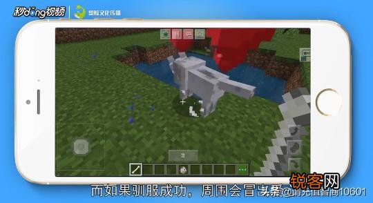 我的世界怎样驯服狼？