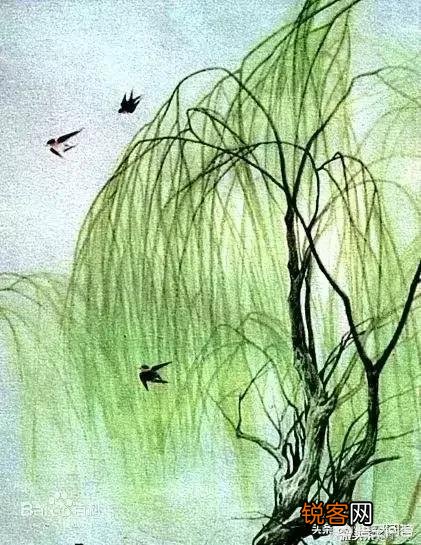 唐诗《春晓》在描写景物上的特点是什么？