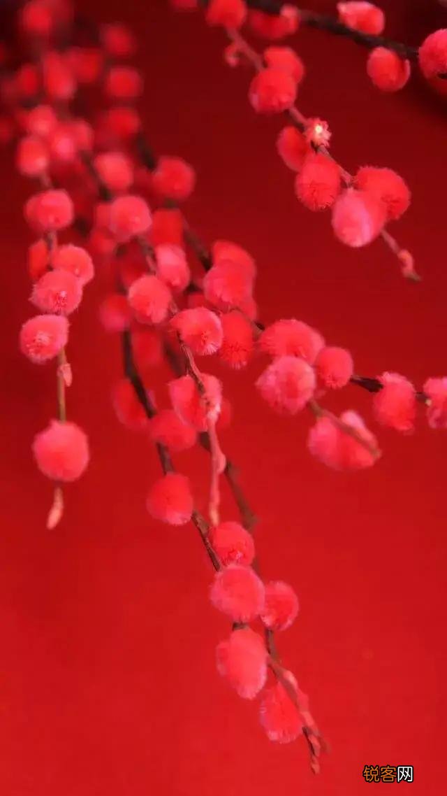 为什么中国人喜欢红色?红色代表什么?