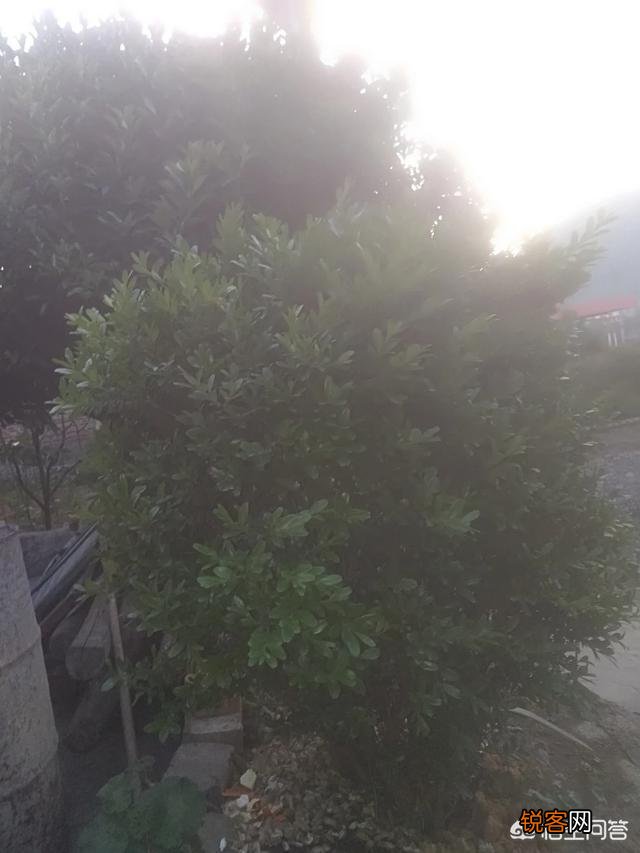 请大家讲一些短篇细思极恐的鬼故事?