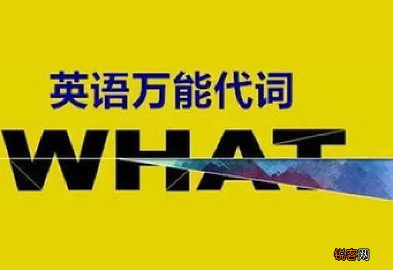 what作代词 what做代词的用法