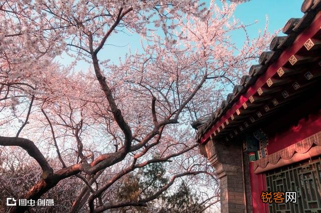 白居易《大林寺桃花》表达了诗人怎样的心情？