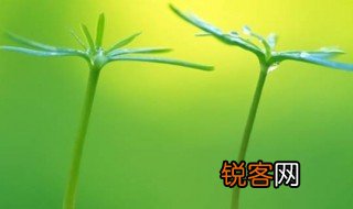绿色的种类及色卡 绿色有很多种吗