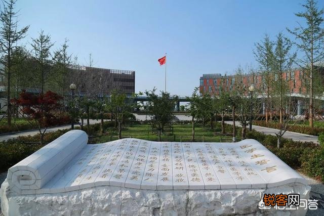 南京医科大学和天津医科大学都是高水平大学吗?谁更具有优势?