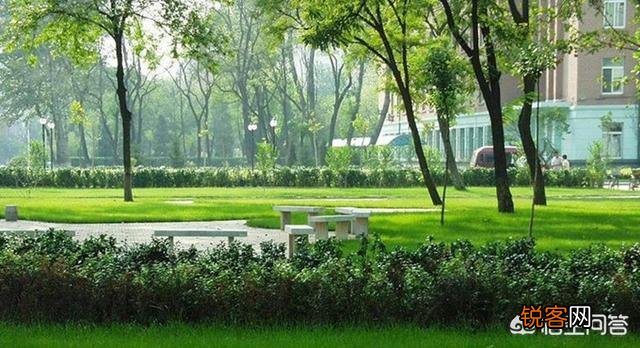 南京医科大学和天津医科大学都是高水平大学吗?谁更具有优势?