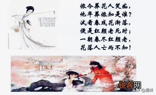 感觉自己一直心浮气躁的没有坚持做过什么,大家推荐一些有价值的爱好,有哪些？
