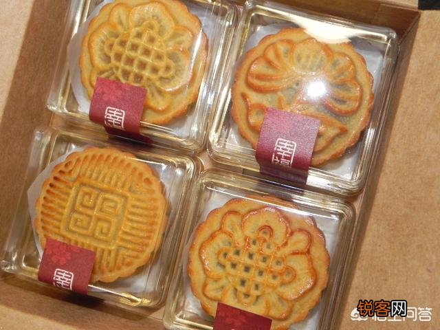 带孩子去上海哪里好玩？