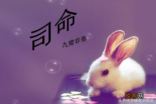 那么多好看的小说,你中意哪一个？