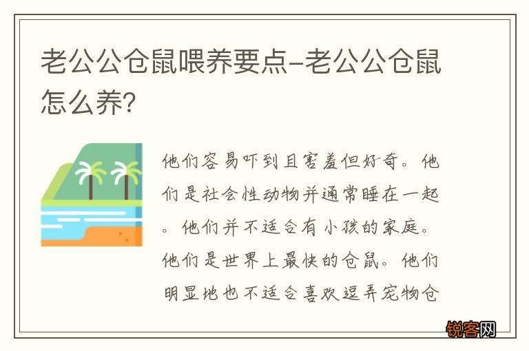 老公公仓鼠喂养要点-老公公仓鼠怎么养？