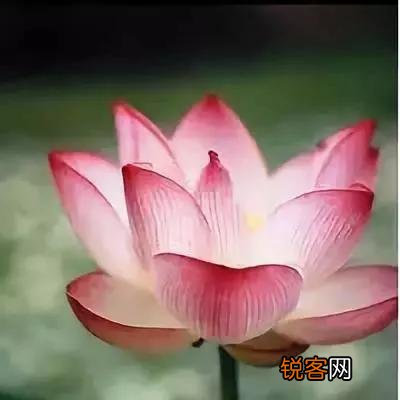 吕雉为什么对戚姬那么残忍？