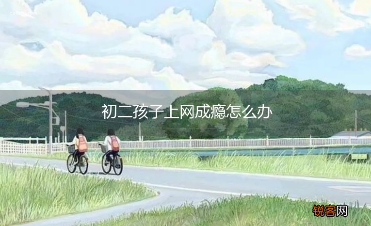 初二孩子上网成瘾怎么办