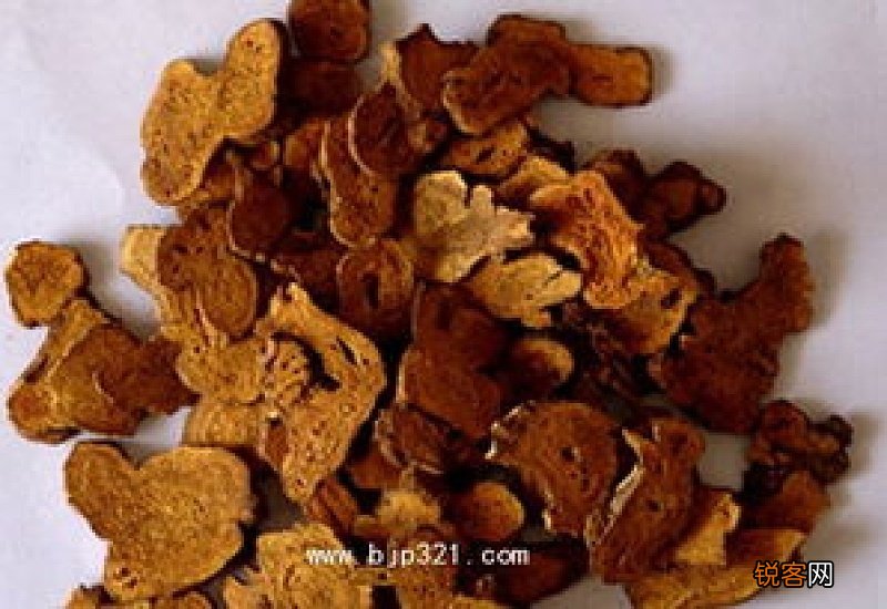 麸炒白术的功效与禁忌