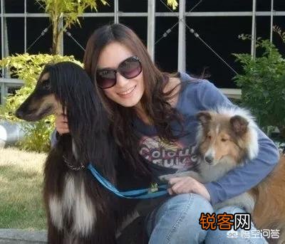 世界上毛最长的狗狗是哪个品种？