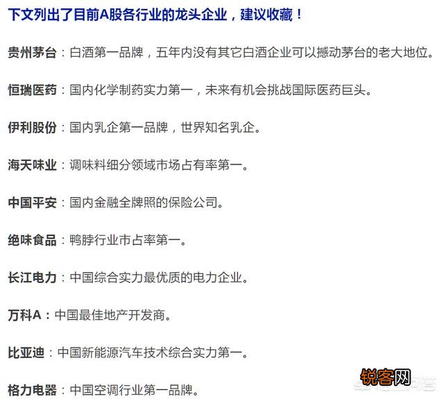 哪些是细分行业龙头？