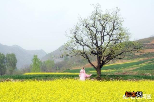 拍人像为什么要用大光圈？