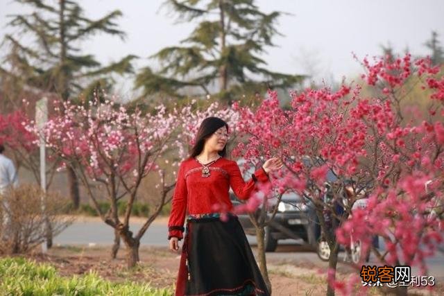 “年年岁岁花相似,岁岁年年人不同”这句话带给你什么感慨？乡愁吗？