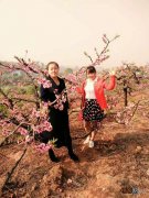 “年年岁岁花相似,岁岁年年人不同”这句话带给你什么感慨？乡愁吗？