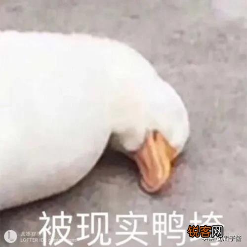 书荒中,求好看耽美安利下姐姐们！求推荐！求简介+推荐？