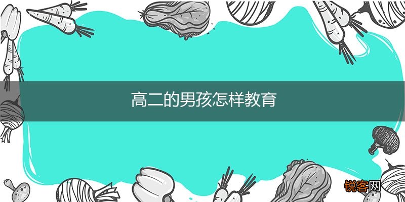 高二的男孩怎样教育