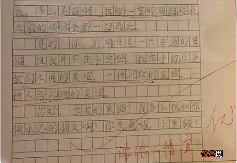 初一有你真好的相关题材作文