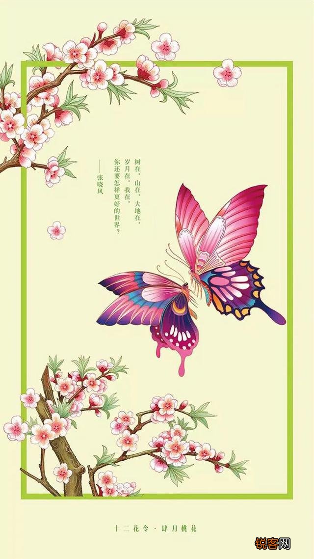做自媒体有多辛苦呢？