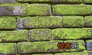 青苔满阶砌白鸟故迟留的意思 青苔满阶砌白鸟故迟留解释