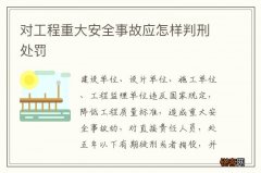 对工程重大安全事故应怎样判刑处罚