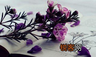 清香传得天心在未话寻常草木知的意思 清香传得天心在未话寻常草木知的解释