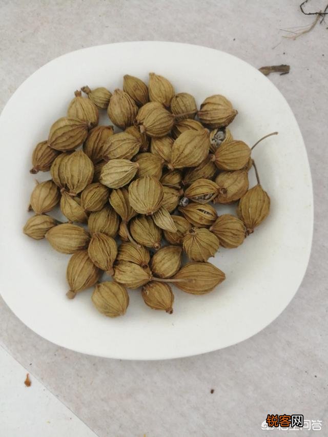香料的分类及作用是什么？