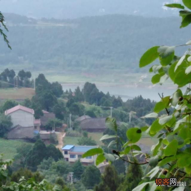 你们家乡现在风景美吗？分享一下田间地头好吗？