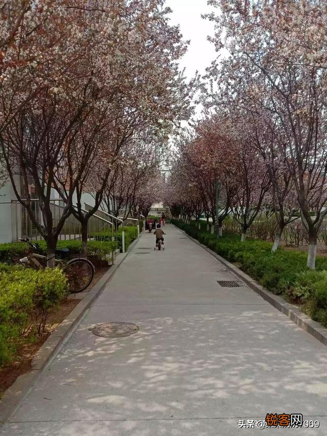 分享春天,欣赏美景,你们在忙些什么,有何分享？